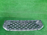Решетка радиатора Hyundai Santa Fe 4 TM (20-24)