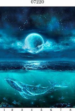 Панель ПВХ фотопечать 3D Panda Звёздное сияние 2700х250 мм