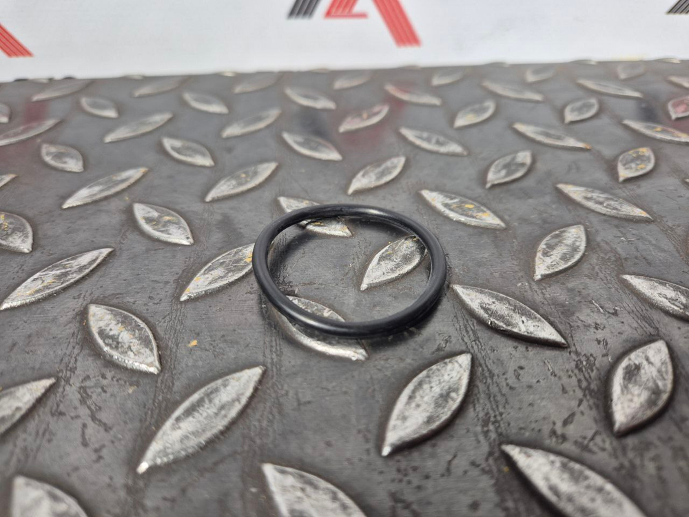 О-кольцо 095-1700