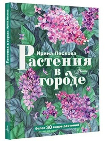 Растения в городе