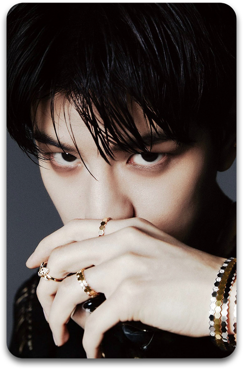 Карта / STRAY KIDS #3231