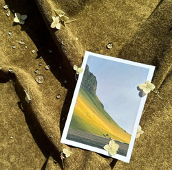 Велюр Fjord (Фьорд) 000