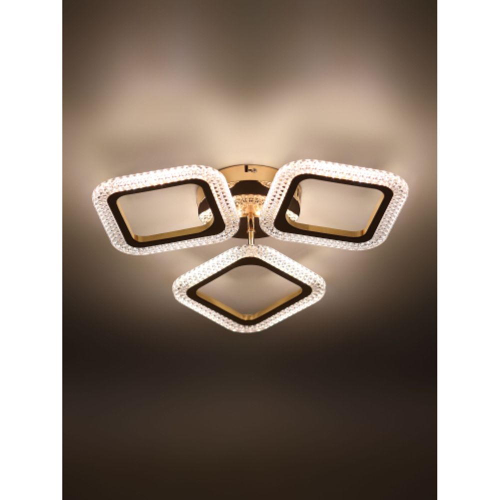 Светильник потолочный светодиодный Rivoli Dorinata 6179-701 LED 48Вт 3000-6000К с пультом | Rivoli