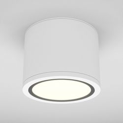 Накладной светильник Maytoni Rendo C095CL-GX53-W