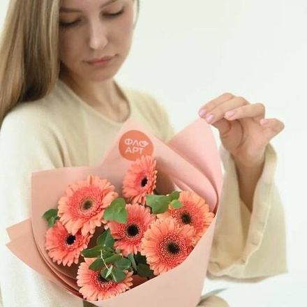 Красочные герберы