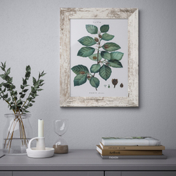 IKEA PLOMMONTRÄD  (ИКЕА ПЛОММОНТРÄД)  -  Рама, белая имитация окрашенной сосны, 30x40 см