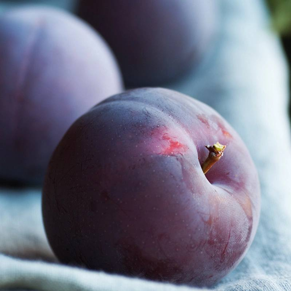 Отдушка Plum Cashmere (Кашемировая Слива по мотивам CS)