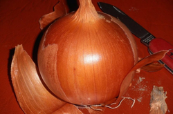 Лук-реп. Манас F1  0,5г Мировые Семена VITA GREEN