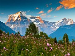 Алмазная вышивка \ Diamond painting ZX354  30x40