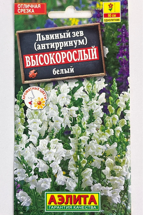 Львиный зев Высокорослый белый СМЦ-537
