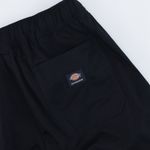 Брюки Dickies Skateboarding Mount Vista Pants (black)