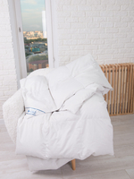 Одеяло пуховое облегчённое Афина Евро 200х220