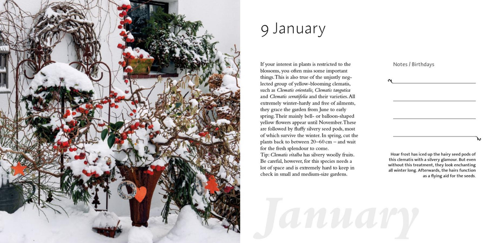 A Year in the Garden. 365 Inspirational Gardens and Garden Tips