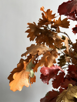 Дуб стабилизированный осенний микс