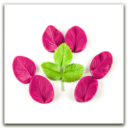 Листья клубники