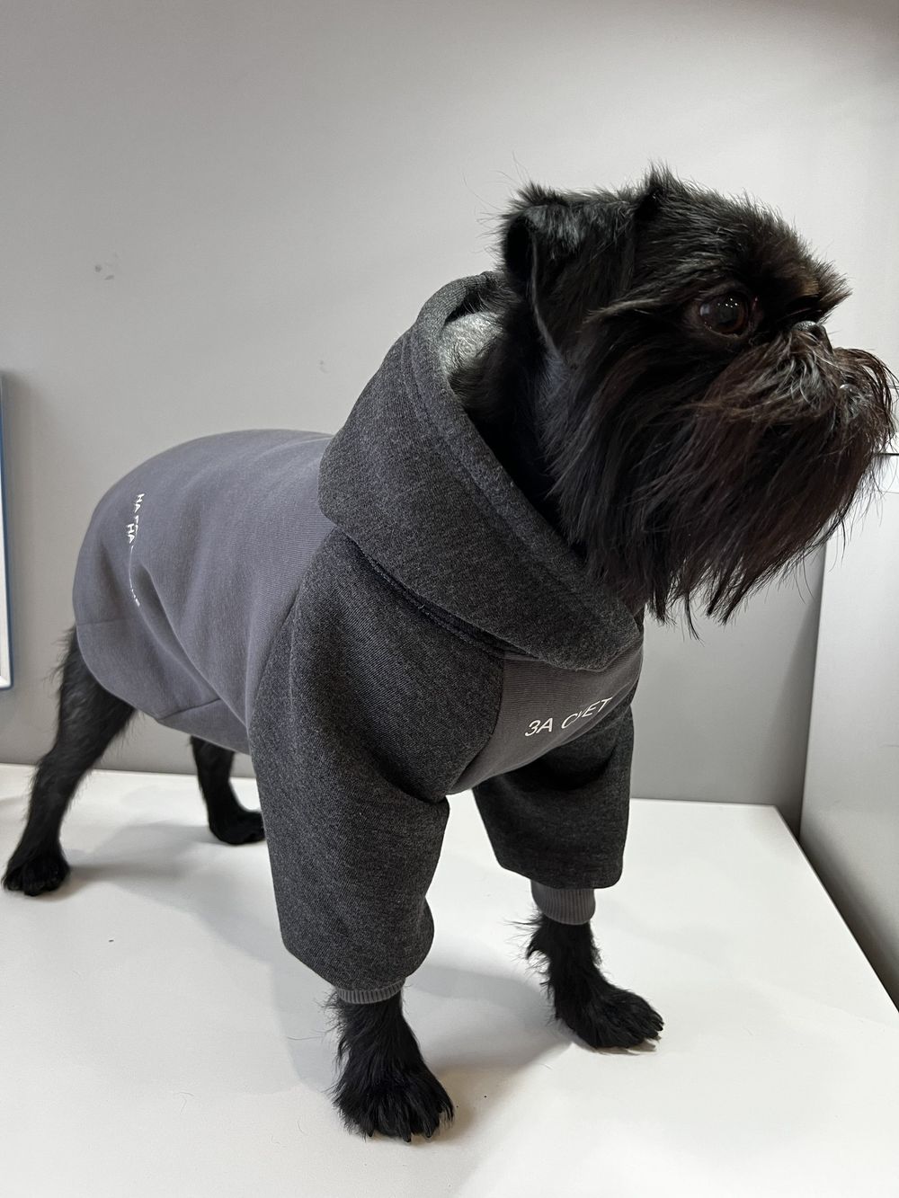 Толстовка с капюшоном с нанесением для собак мелких пород