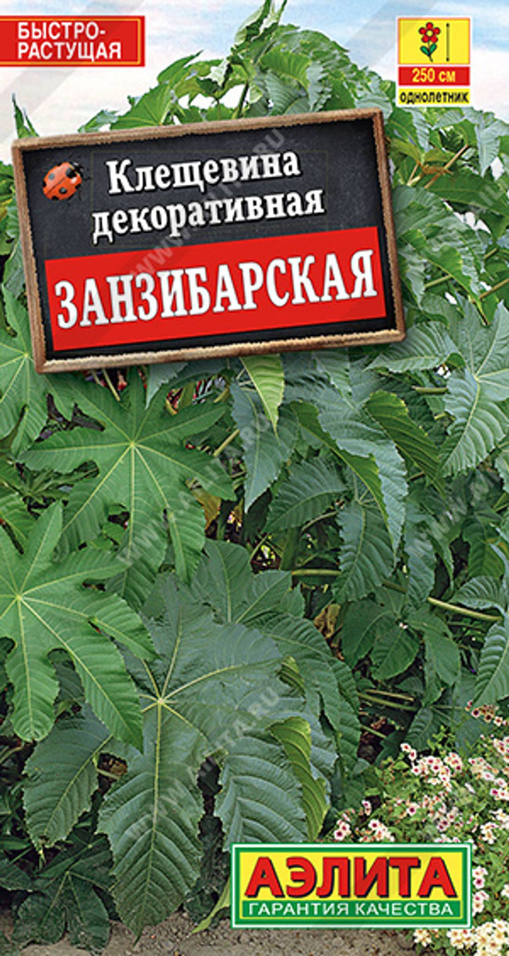 Клещевина Занзибарская 2гр Аэлита