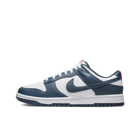Мужские кроссовки Nike Dunk Low Retro 'Valerian Blue' DD1391-400