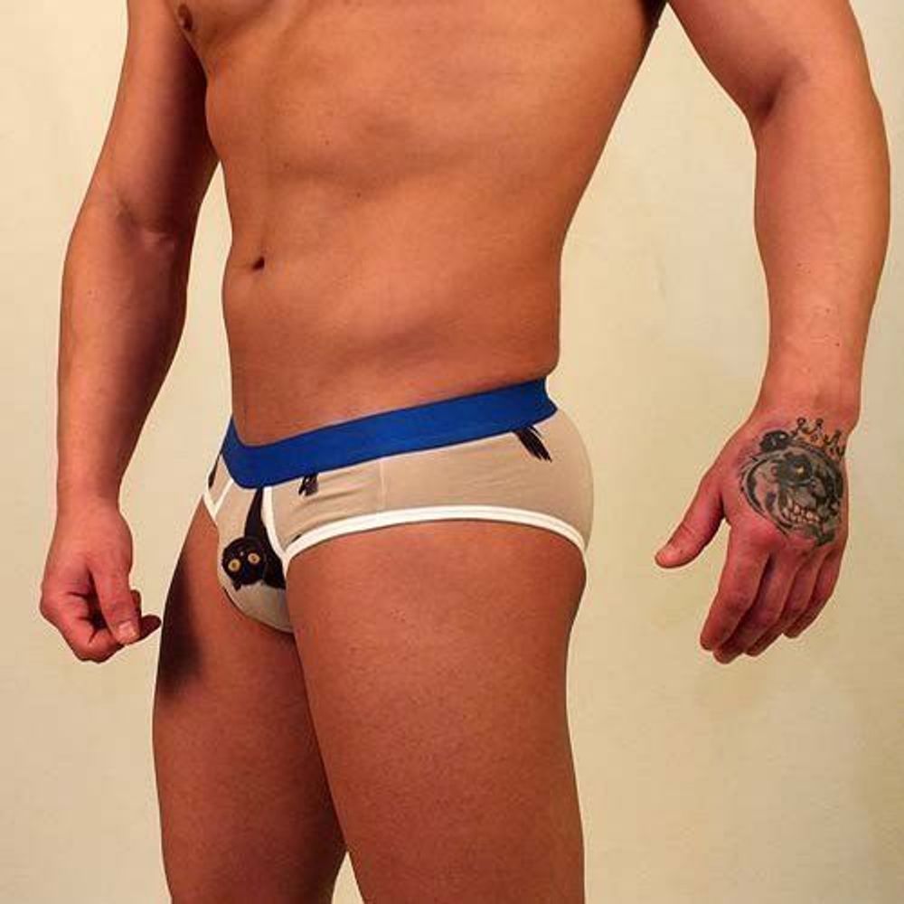 Трусы мужские брифы бежевые с синей резинкой Van Baam VB-2107-MD07