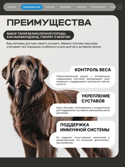 Корм сухой для взрослых собак породы Ньюфаундленд, премиум полнорационный комплекс, с лососем, 12 кг, QUATTRO