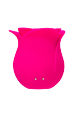 Вакуум-волновой стимулятор клитора Satisfyer Pro 2 Modern Blossom 6,6 см