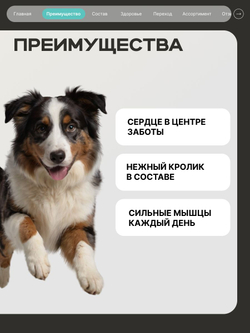 Корм сухой для средних и крупных собак, для сердечно-сосудистой системы, с кроликом, 3 кг, QUATTRO