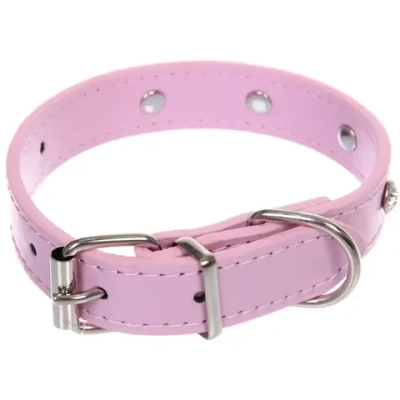 Ошейник для собак и кошек со стразами «На стиле», цвет пудровый, 2см, размер XS, 20*25см (лейбл)
