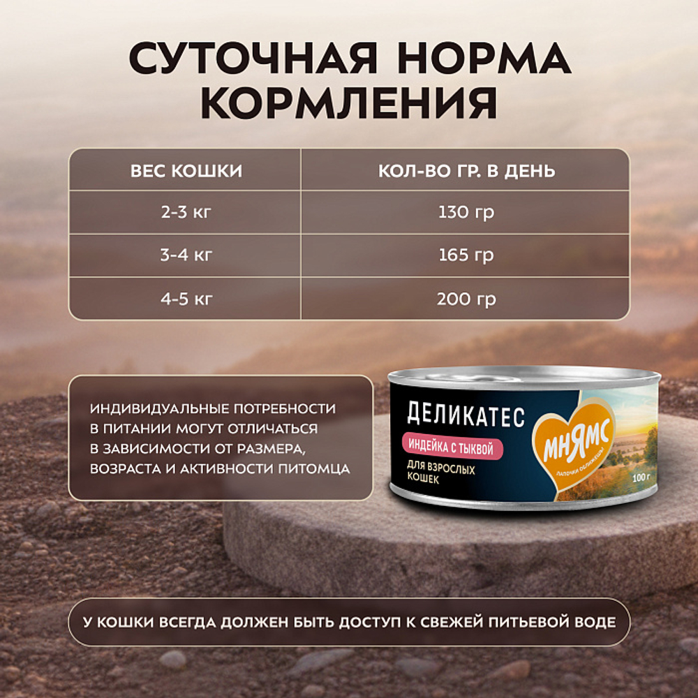 Влажный корм консервы для кошек Деликатес "Паштет по-оксфордски" индейка с тыквой Мнямс 0,1кг 16 шт