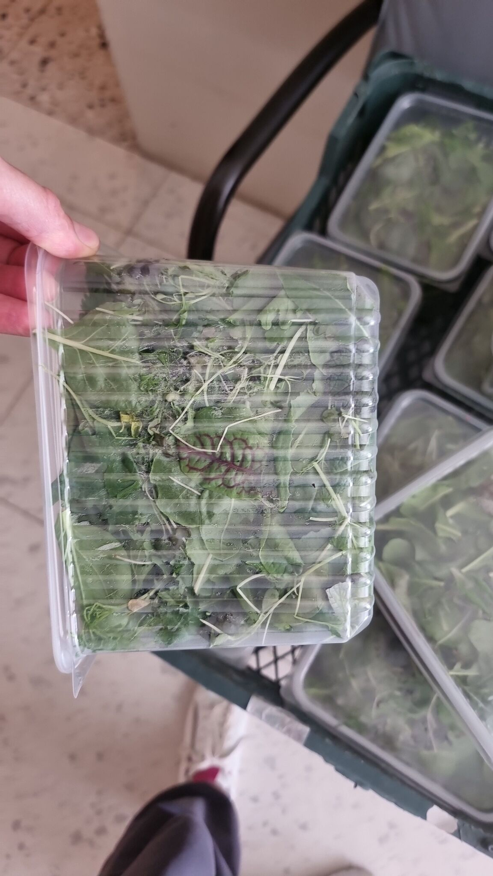 Микс салат / собери свой салат