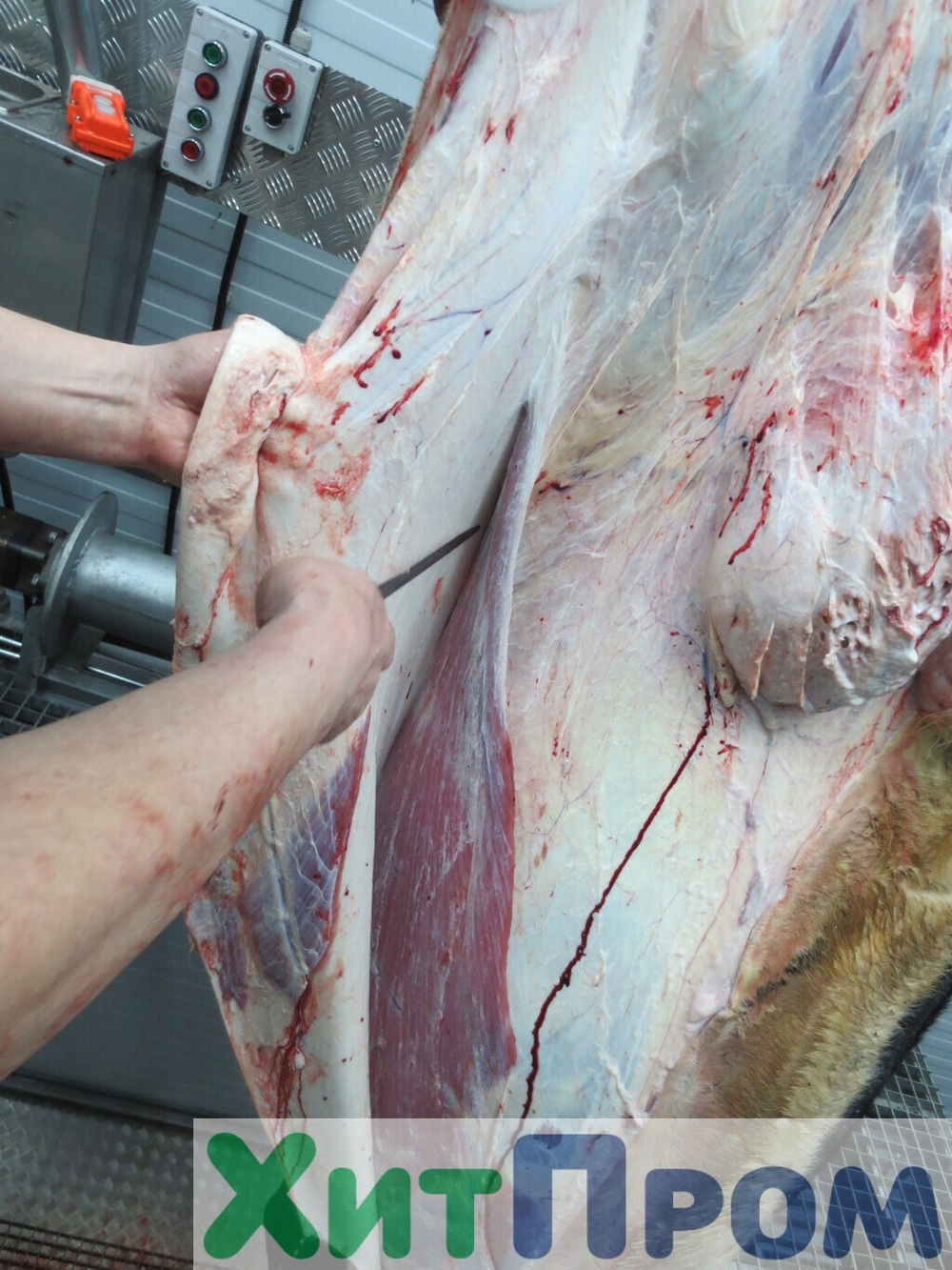 Линия убоя КРС до 40 голов/смена с холодильной камерой. г. Пермь