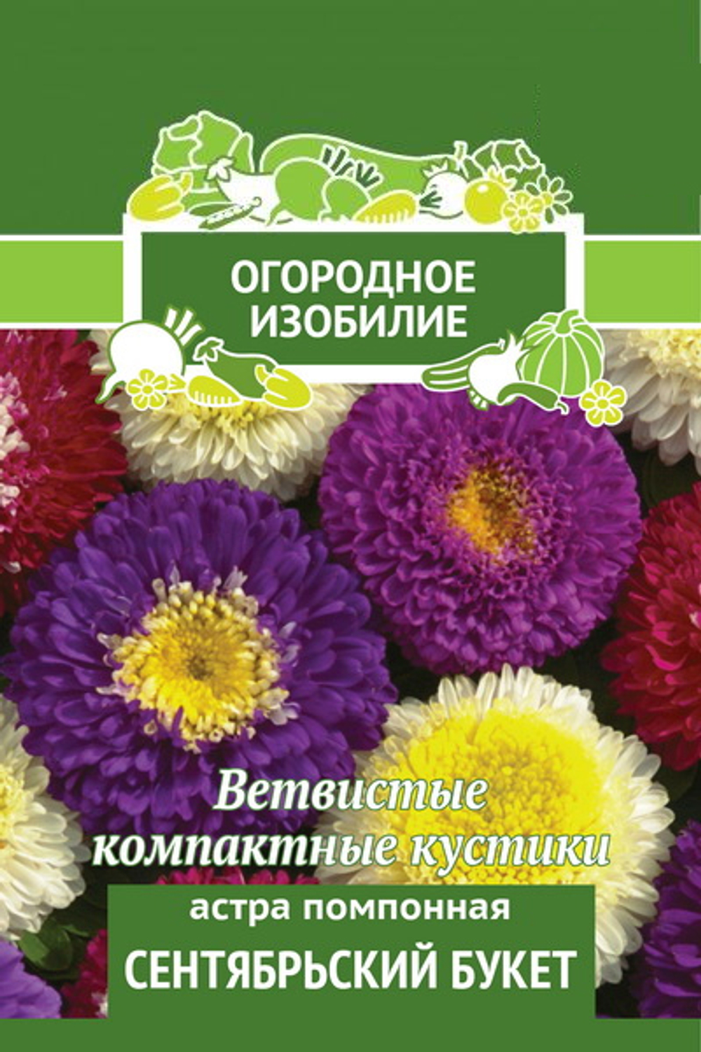 Астра помпонная Сентябрьский Букет
