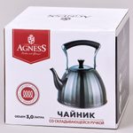 Чайник 3л нерж, индукция, 937-911