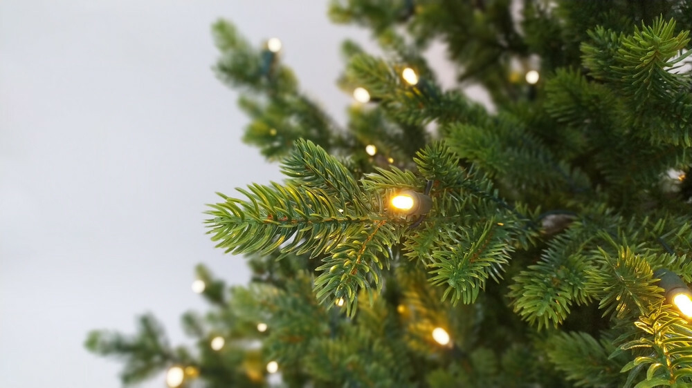 Ель 215см 280 ламп Black Box Городская 100% литая зеленая