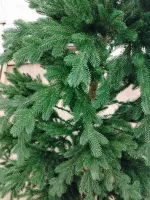 Ель искусственная «Вега» (Литая хвоя) от 1,2 м до 3 м