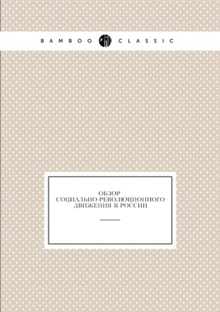 Обзор социально-революционного движения в России | Нет автора
