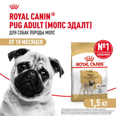 Royal Canin Pug Adult Корм сухой для взрослых собак породы Мопс 1,5 кг