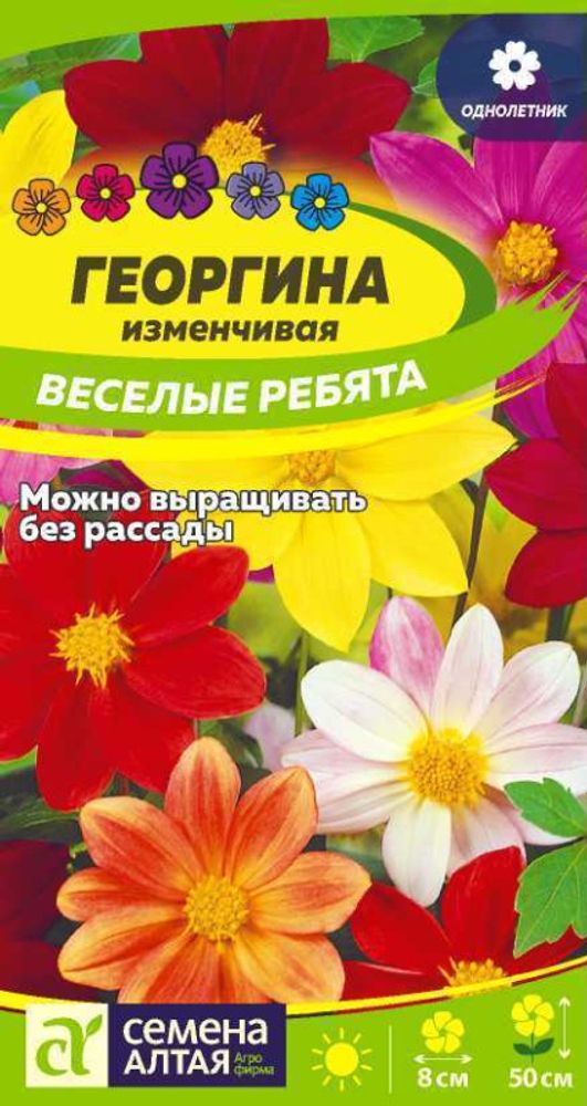 Георгина &quot;G. Веселые Ребята&quot; 0,2г., Россия.