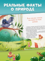 CLEVER-чтение. Приключения Шурочки и Мурочки (мягкая обложка)