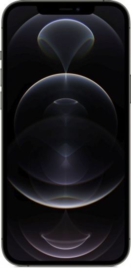 Apple iPhone 12 Pro Max 256GB Graphite (Графитовый)