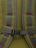 Рюкзак Brain Dead Equipment Alpine Backpack
