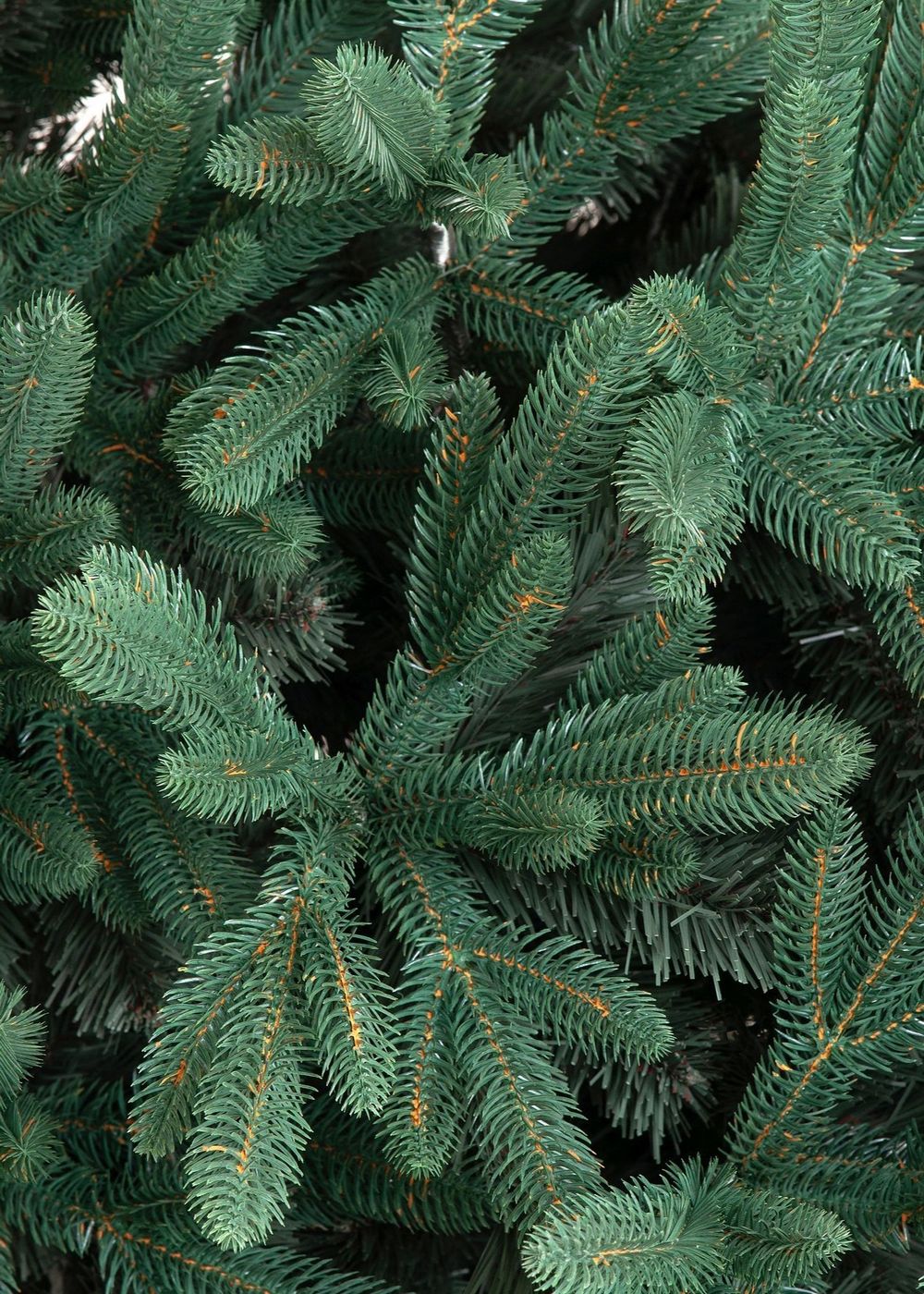 Ель голубая «Французская» (литая+пвх) 210 см / 2.1 м