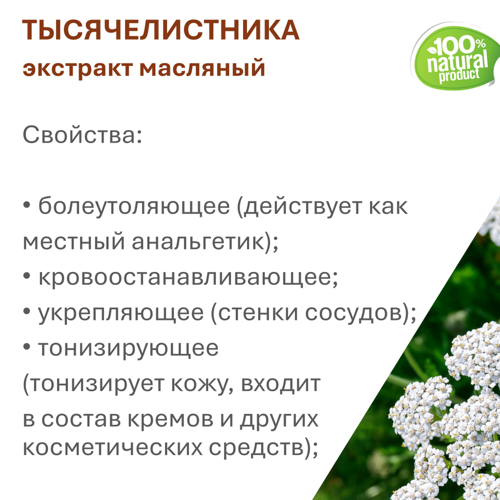 Экстракт тысячелистника, масляный