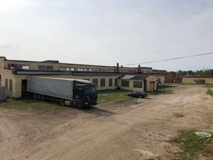 Стройматериалы на экспорт в Европу