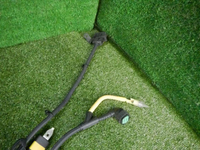 DSCN7146.jpg