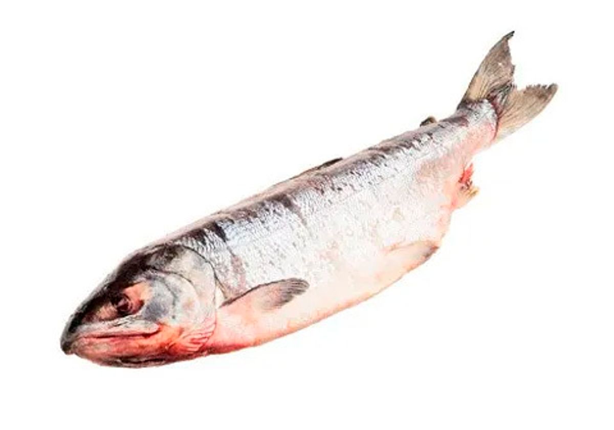 Кета дальневосточная замороженная с головой~2кг