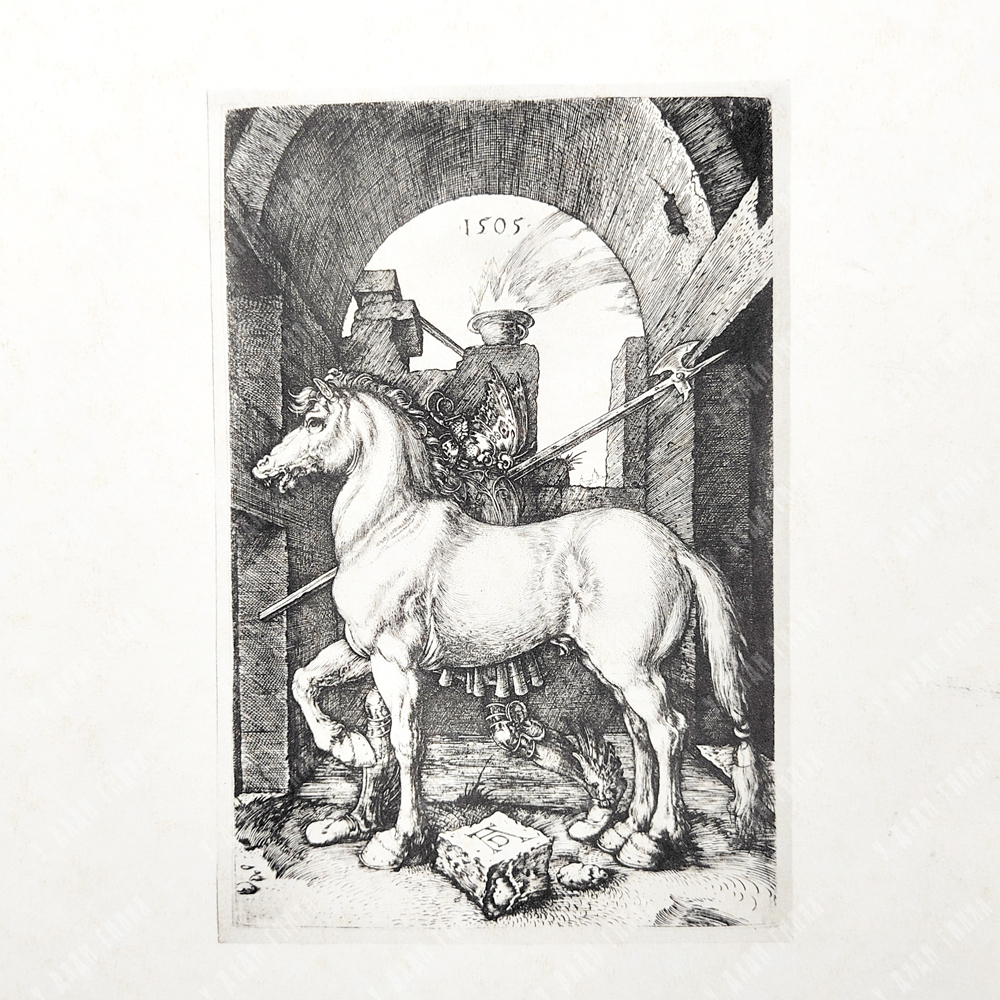 Альбрехт Дюрер. Маленькая лошадь. Репродукция гравюры 1505 г., Первая половина ХХ в.