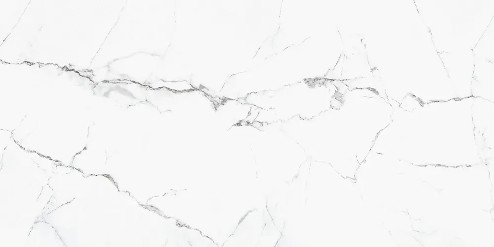Керамогранит Primavera Colonial White Carving 60х120 см (CR222)