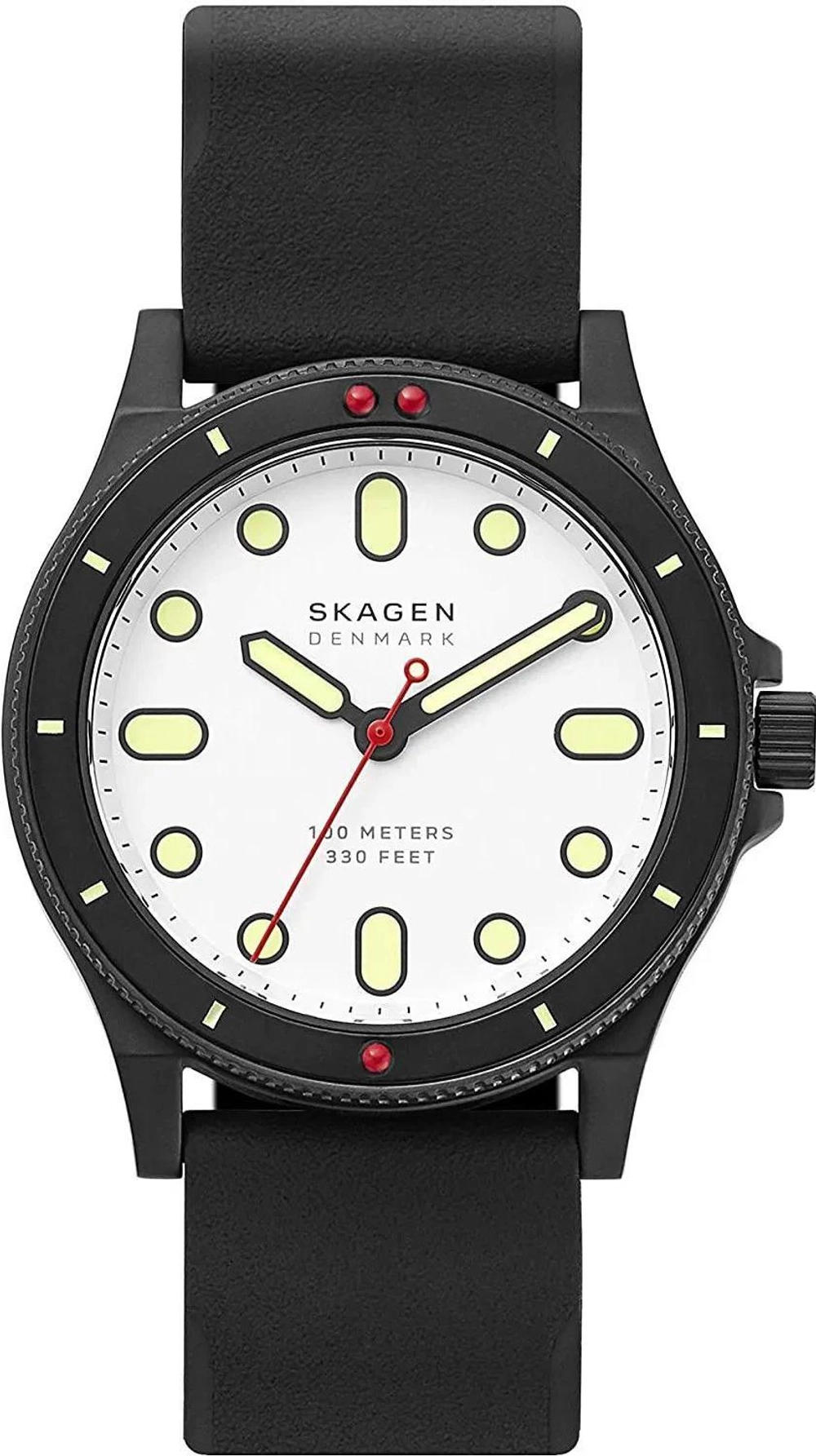 Мужские наручные часы Skagen SKW6667