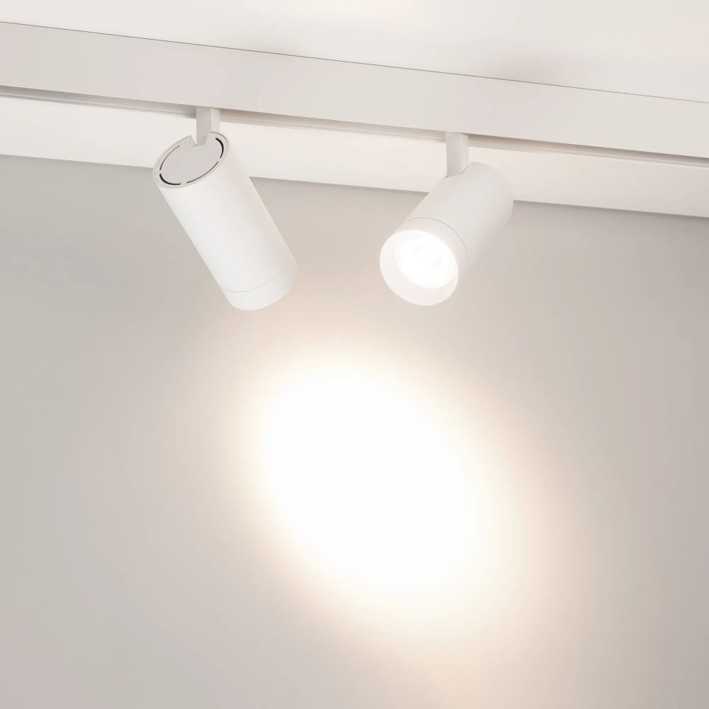 Светильник MAG-ORIENT-SPOT-R65-20W Day4000 (WH, 24 deg, 48V, DALI) (Arlight, IP20 Металл, 5 лет) 037123