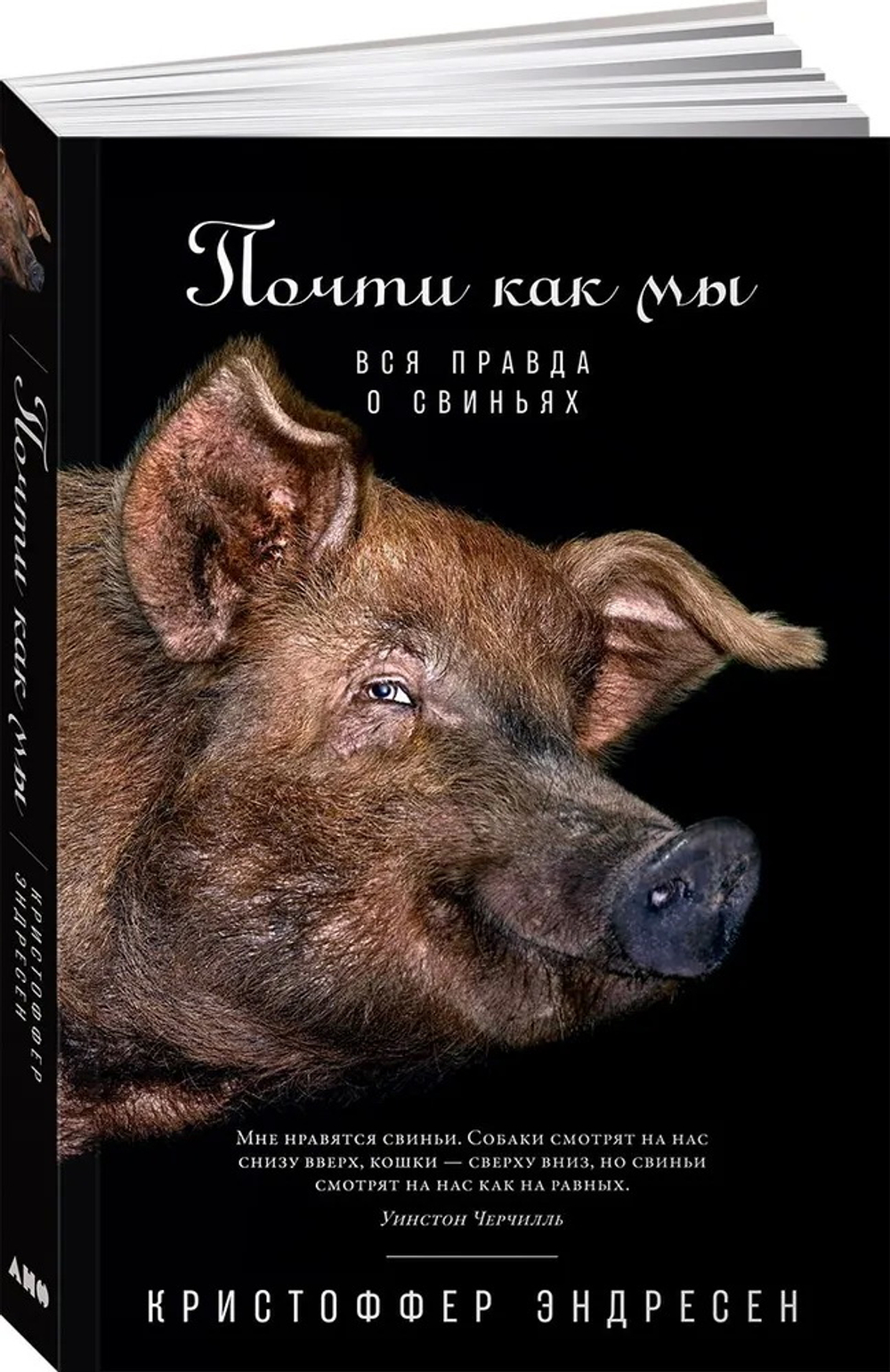 Почти как мы: Вся правда о свиньях